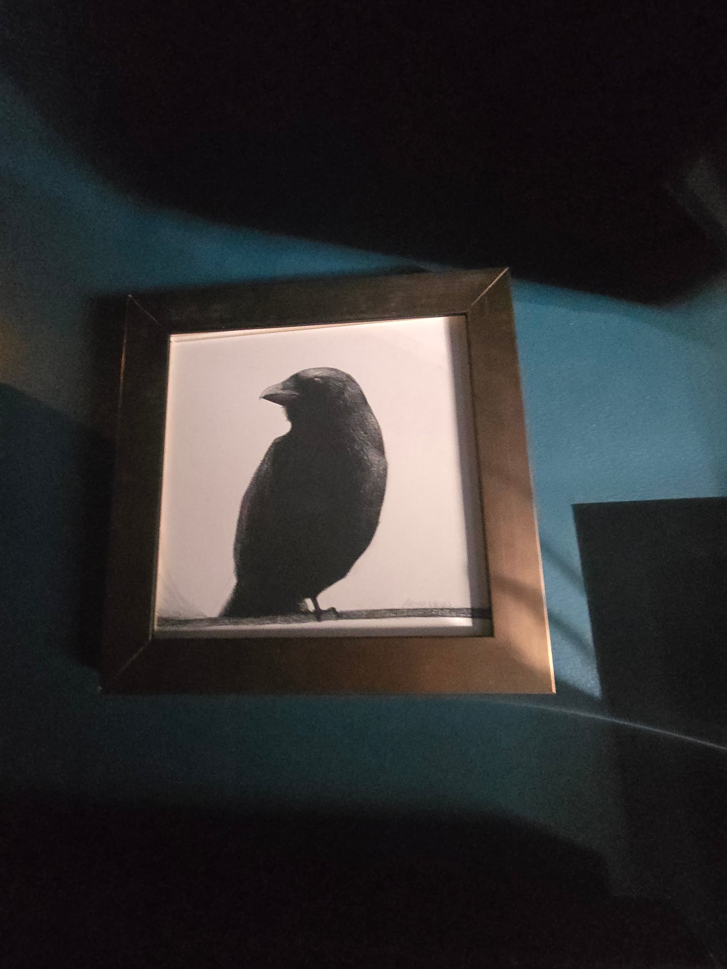 Bourbon & Branch Framed Raven 2