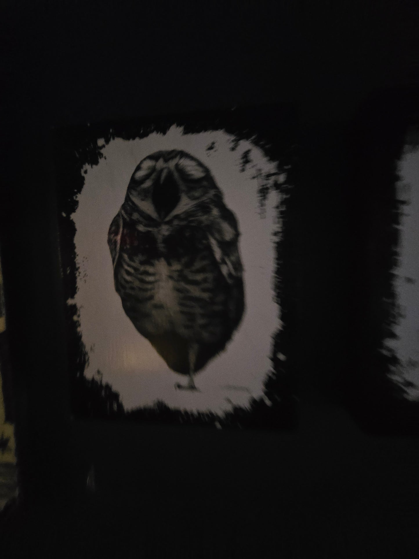 Bourbon & Branch Wood Panel Owl 3
