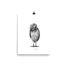 Load image into Gallery viewer, Curiosity Owl Print