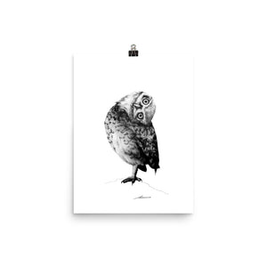 Peter Owl Print