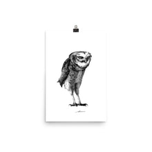 Load image into Gallery viewer, Darius Owl Print