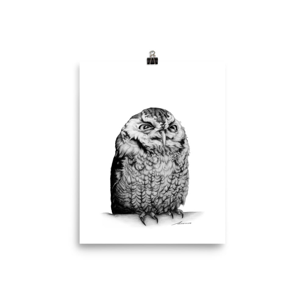 Richard Owl Print