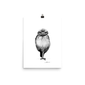 Bellboy Owl Print