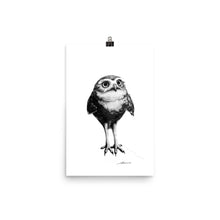 Load image into Gallery viewer, Bop Owl Print
