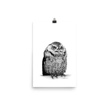 Load image into Gallery viewer, Richard Owl Print