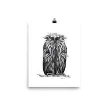 Load image into Gallery viewer, Oscar Owl Print