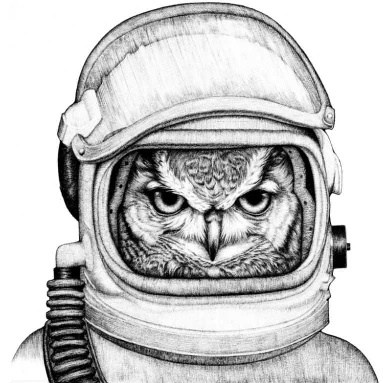 Astro Owl