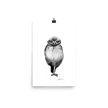 Load image into Gallery viewer, Bellboy Owl Print