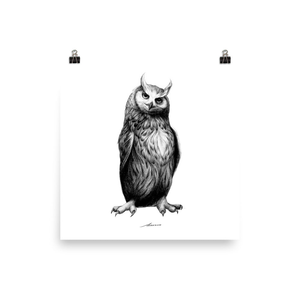 Nolan Owl Print