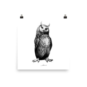 Nolan Owl Print