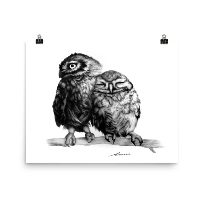 Cuddles Owl Print