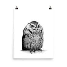 Load image into Gallery viewer, Richard Owl Print