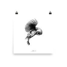 Load image into Gallery viewer, First Flight Owl Print