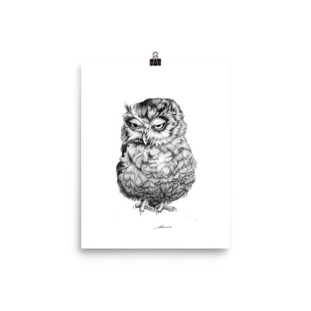 Grouchy Owl Print