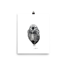 Load image into Gallery viewer, Singing Owl Print