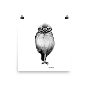 Bellboy Owl Print