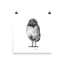 Load image into Gallery viewer, Sammy Owl Print