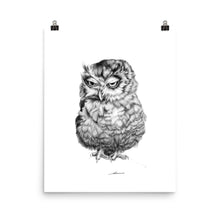 Load image into Gallery viewer, Grouchy Owl Print