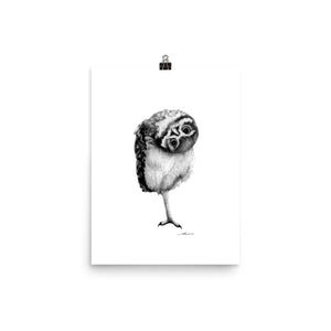 Awkward Owl Print