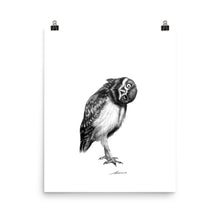 Load image into Gallery viewer, Perspective Owl Print