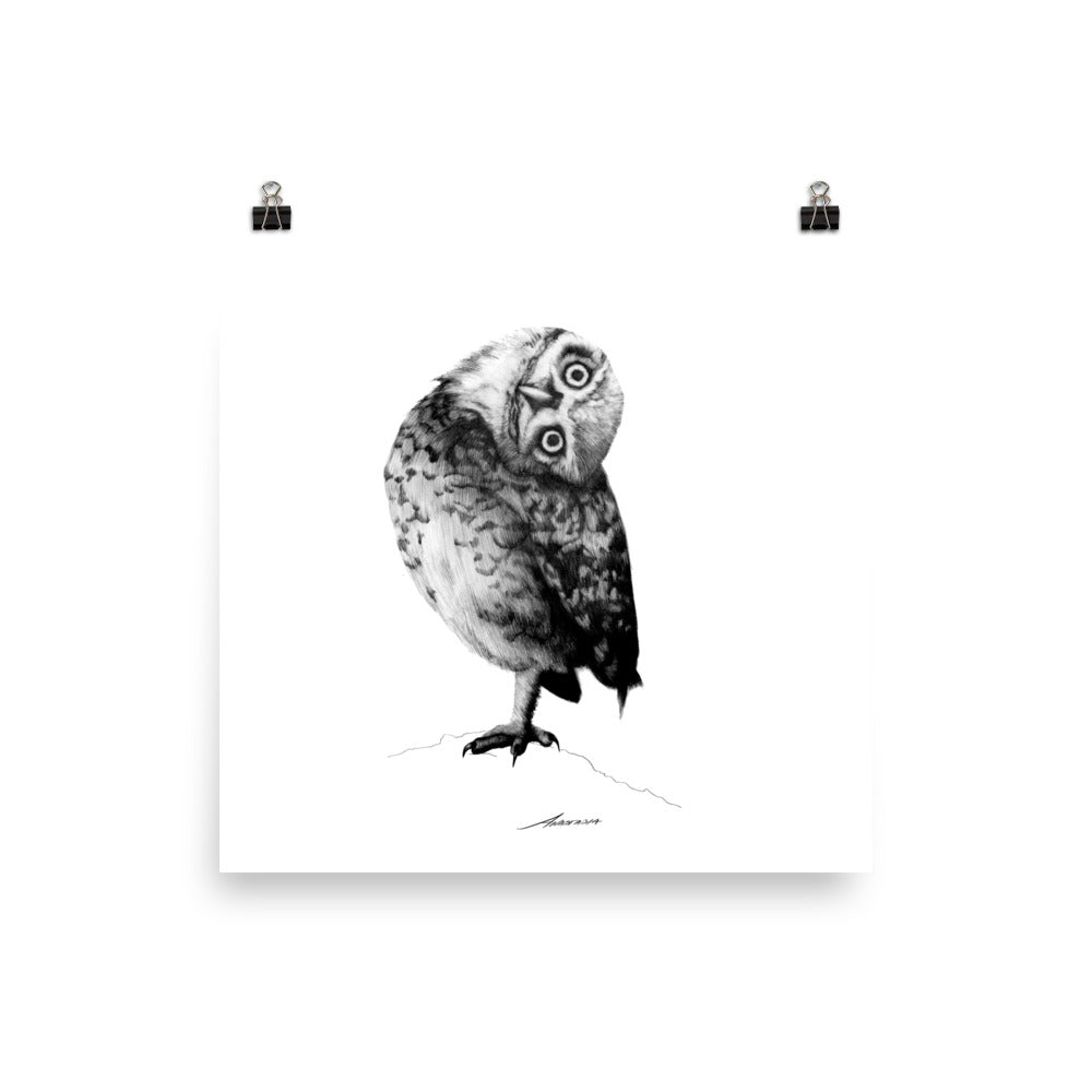 Peter Owl Print