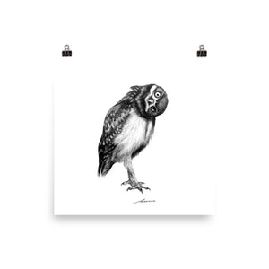 Perspective Owl Print