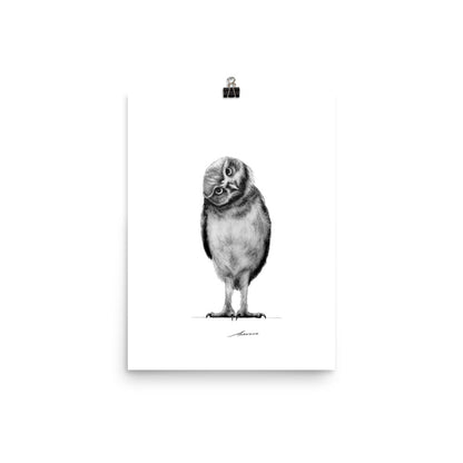 Curiosity Owl Print