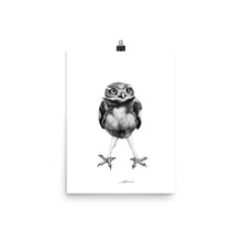 Load image into Gallery viewer, Legs Owl Print