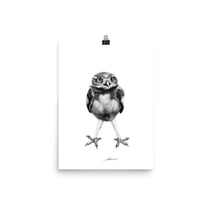 Legs Owl Print