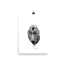 Load image into Gallery viewer, Singing Owl Print