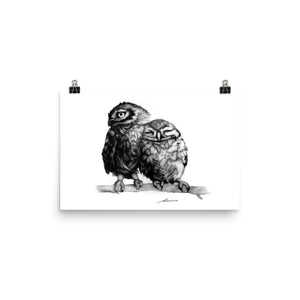 Cuddles Owl Print