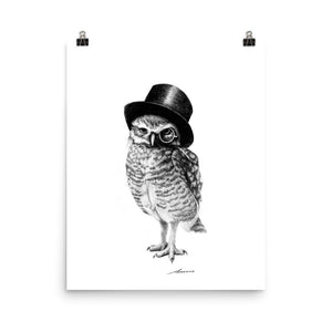 Sebastian Owl Print