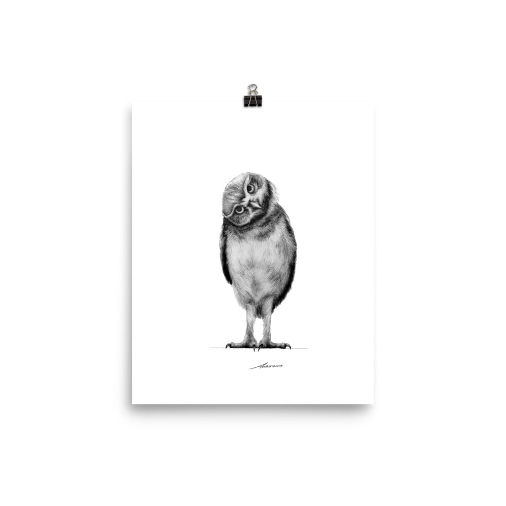 Curiosity Owl Print