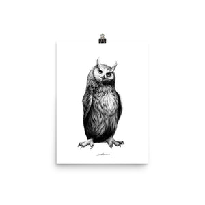 Nolan Owl Print