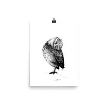 Load image into Gallery viewer, Peter Owl Print