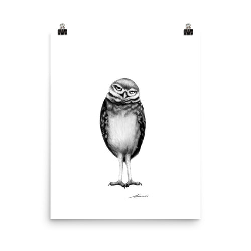 Spencer Owl Print