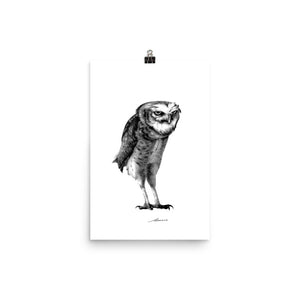 Darius Owl Print