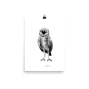 Hester Owl Print