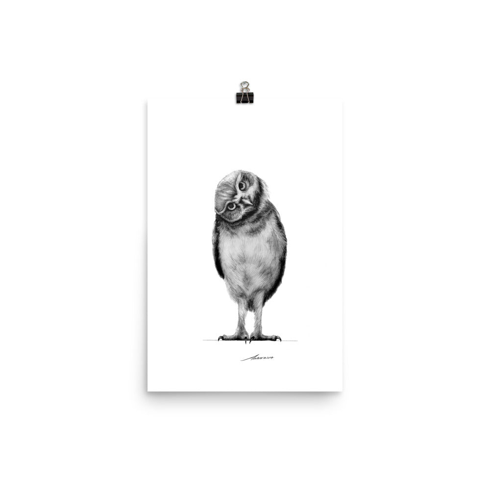 Curiosity Owl Print