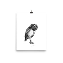 Load image into Gallery viewer, Perspective Owl Print