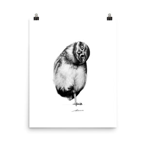 Basil Owl Print