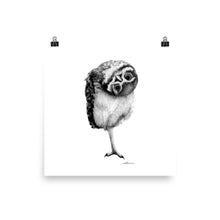 Load image into Gallery viewer, Awkward Owl Print