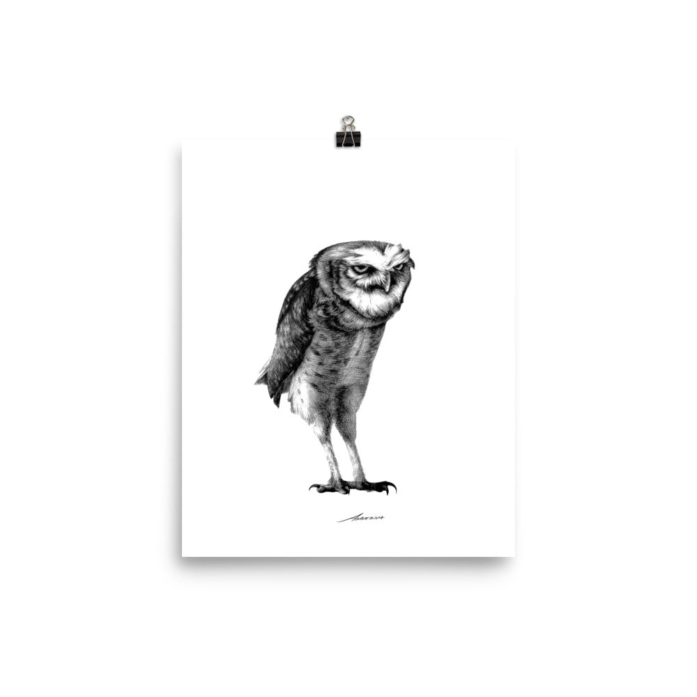 Darius Owl Print