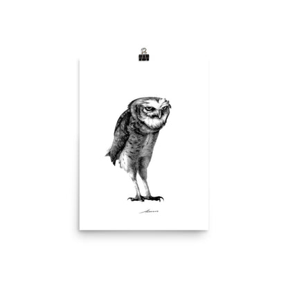 Darius Owl Print