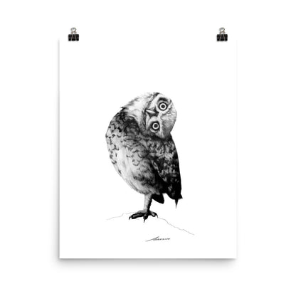 Peter Owl Print