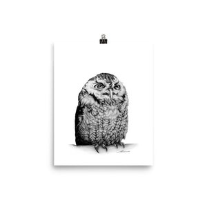 Richard Owl Print