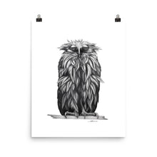 Load image into Gallery viewer, Oscar Owl Print