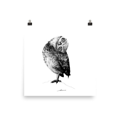 Peter Owl Print