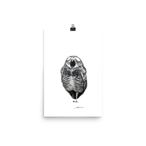Singing Owl Print
