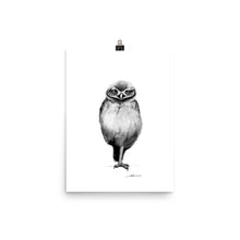 Load image into Gallery viewer, Bellboy Owl Print